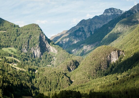 Urlaub im Ahrntal :: Natur erleben im Garten des Schachen